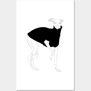 Italian Greyhound wearing Turtleneck Posters and Art